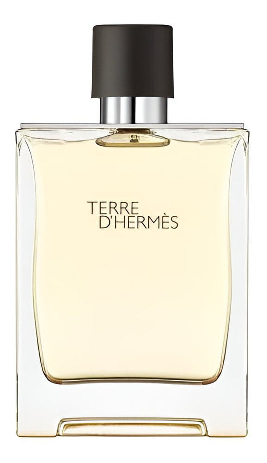 Hermès -Terre d'Hermès-Eau de Toilette-100ml